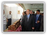 DSC01440