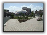pic (5)
