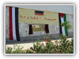 pic (7)